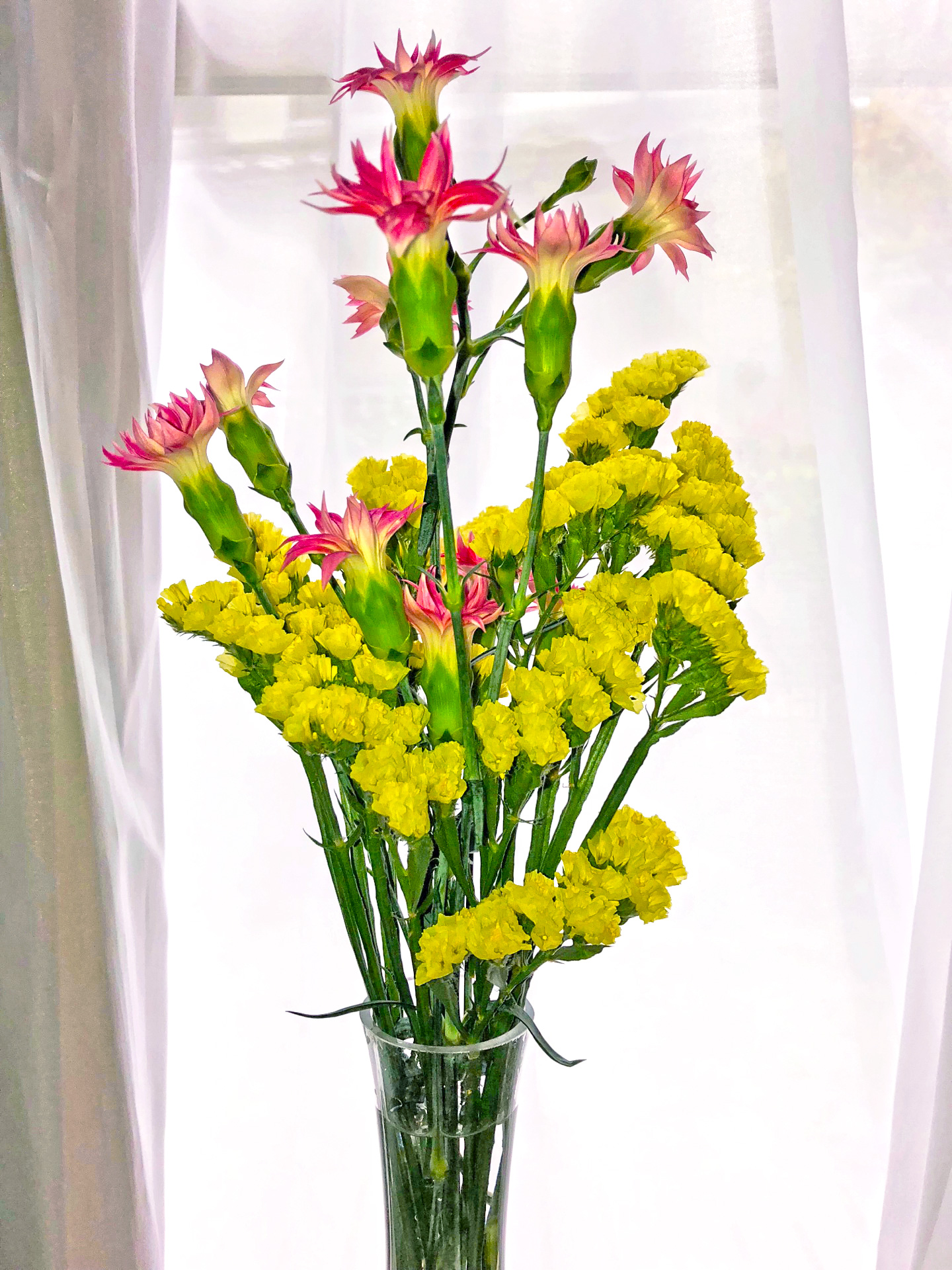 ブログイメージ