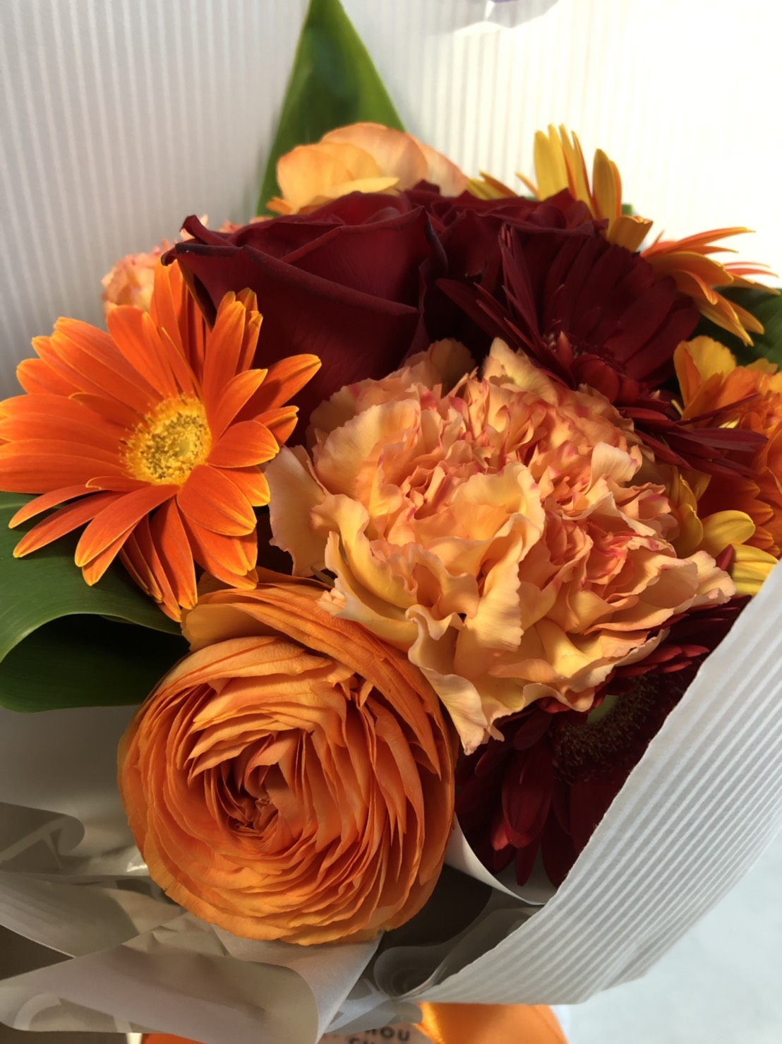 ブログイメージ